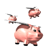 Flying Pigs ARP Club